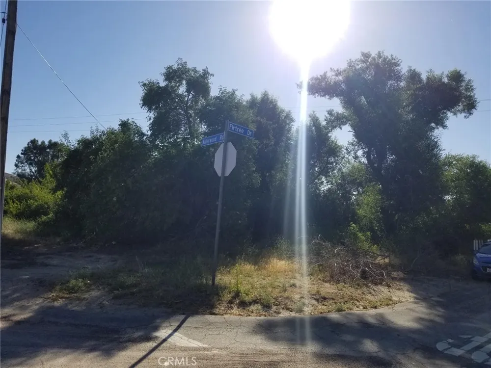 Alderwood Rd/Firtree Drive Lake Elizabeth, CA 93532
