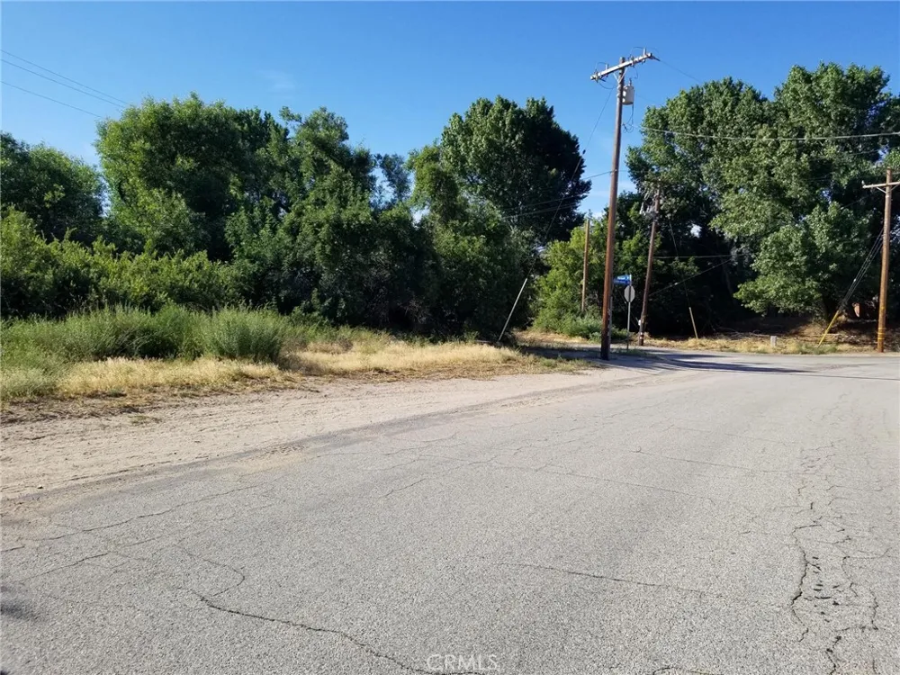 Alderwood Rd/Firtree Drive Lake Elizabeth, CA 93532