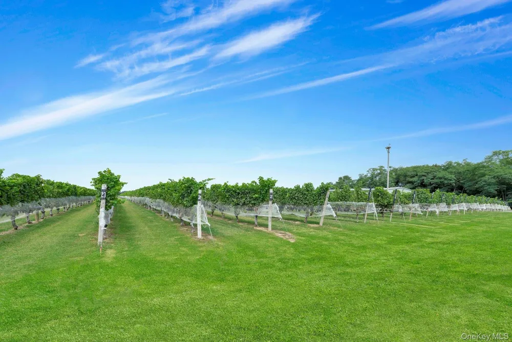 44075 Route 25 Peconic, NY 11971