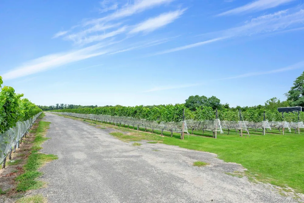 44075 Route 25 Peconic, NY 11971