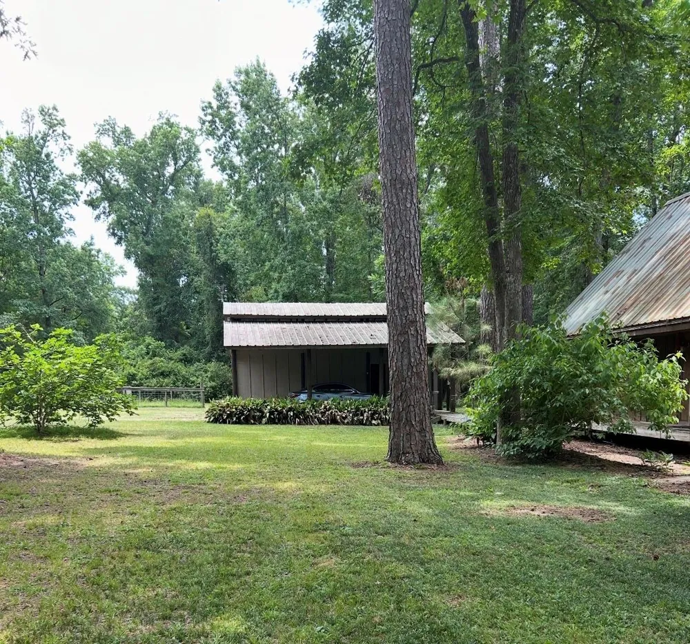 141 Walnut Loop Loop Shepherd, TX 77371
