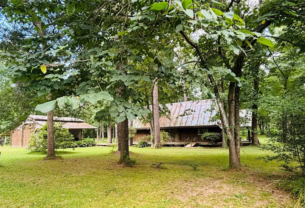 141 Walnut Loop Loop Shepherd, TX 77371
