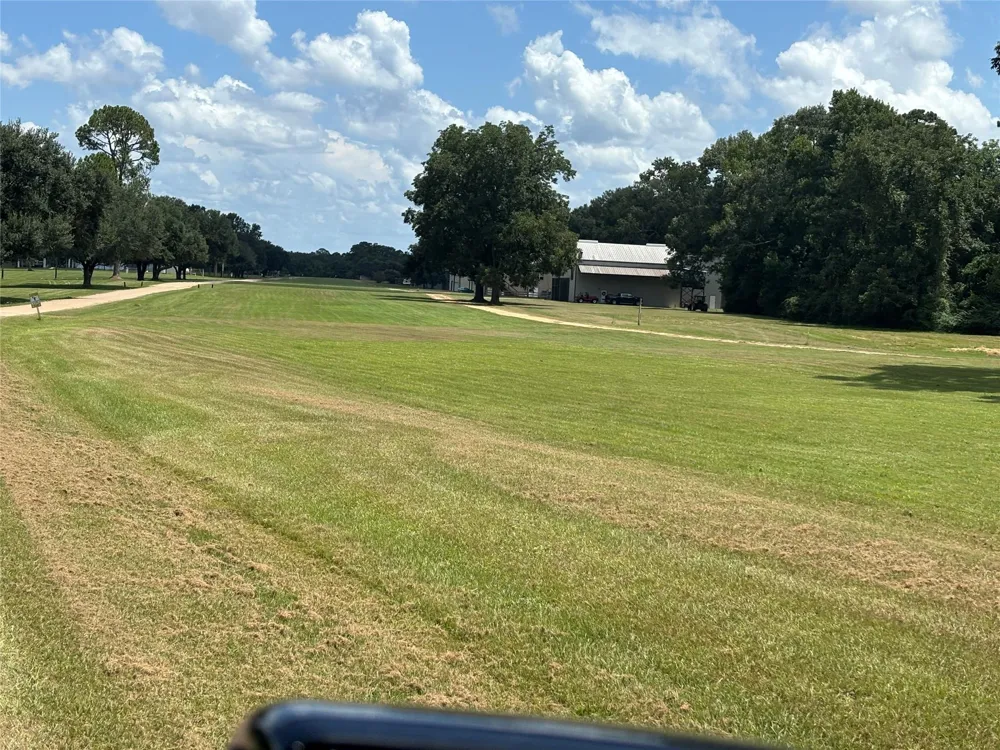 141 Walnut Loop Loop Shepherd, TX 77371