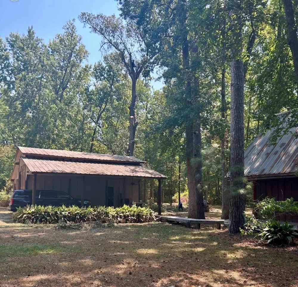 141 Walnut Loop Loop Shepherd, TX 77371