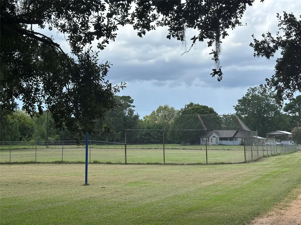 141 Walnut Loop Loop Shepherd, TX 77371