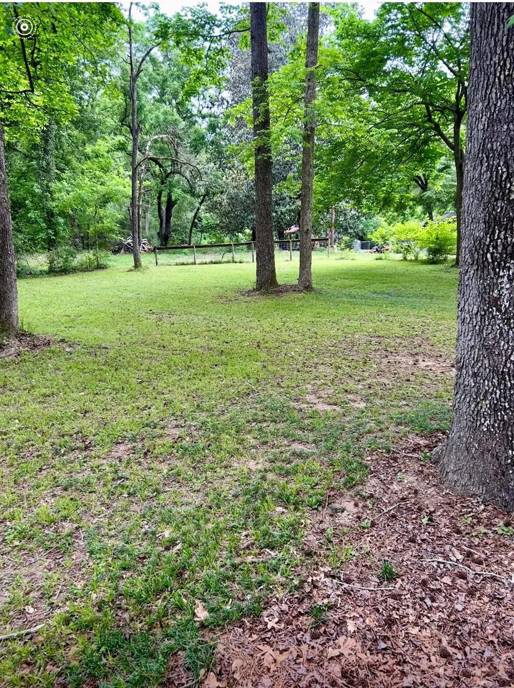 141 Walnut Loop Loop Shepherd, TX 77371