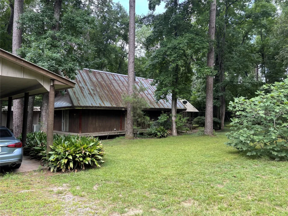 141 Walnut Loop Loop Shepherd, TX 77371