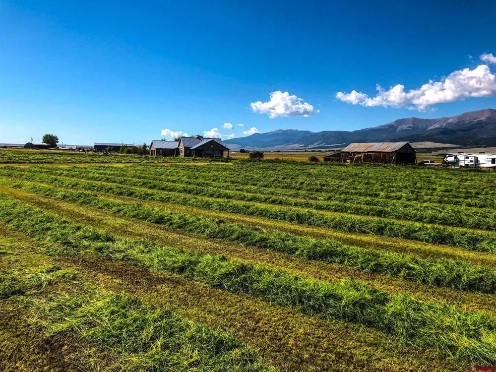 1429 County Road 130 Westcliffe, CO 81252