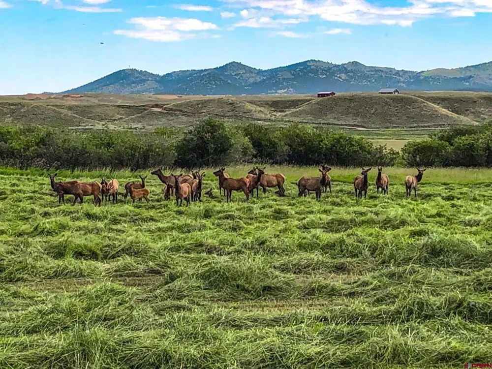 1429 County Road 130 Westcliffe, CO 81252