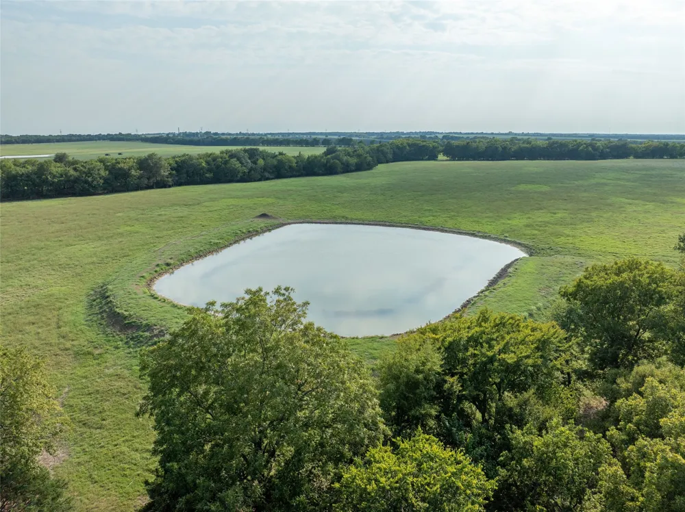 82 W Brookston, TX 75421