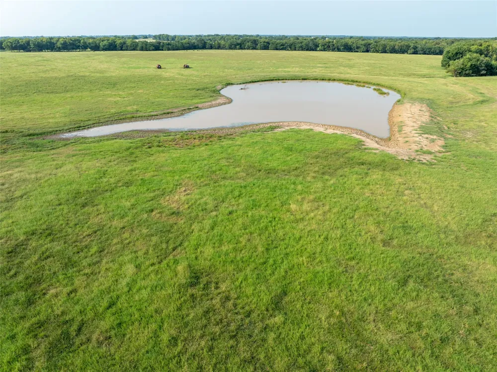 82 W Brookston, TX 75421