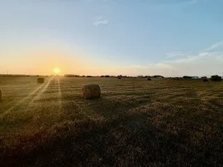 16903 FM 630 Odem, TX 78370