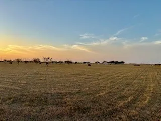 16903 FM 630 Odem, TX 78370