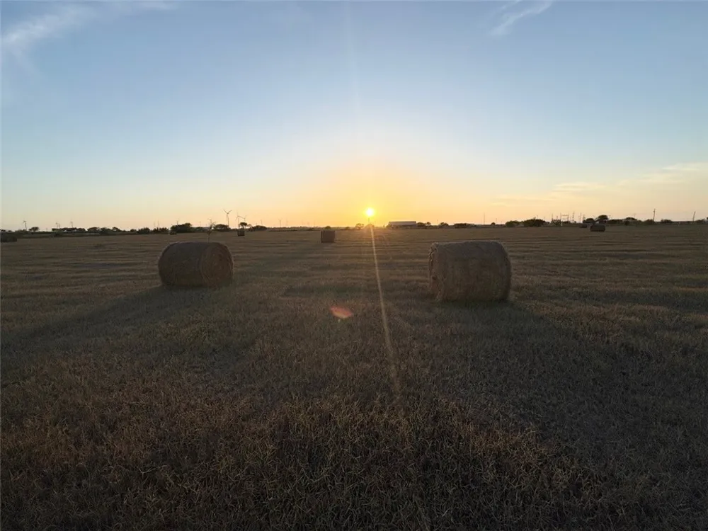 16903 FM 630 Odem, TX 78370