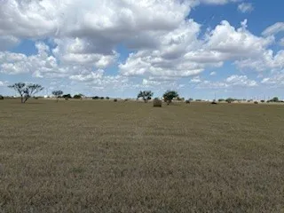 16903 FM 630 Odem, TX 78370