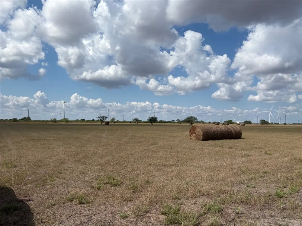 16903 FM 630 Odem, TX 78370