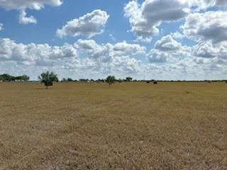 16903 FM 630 Odem, TX 78370