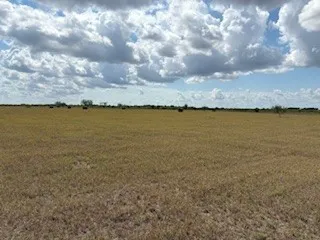 16903 FM 630 Odem, TX 78370