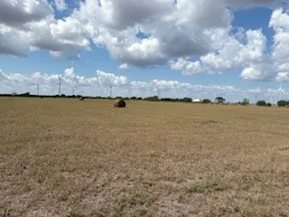 16903 FM 630 Odem, TX 78370