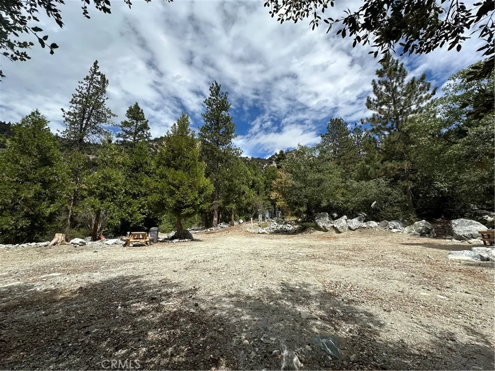 41385 Alder Drive Forest Falls, CA 92339