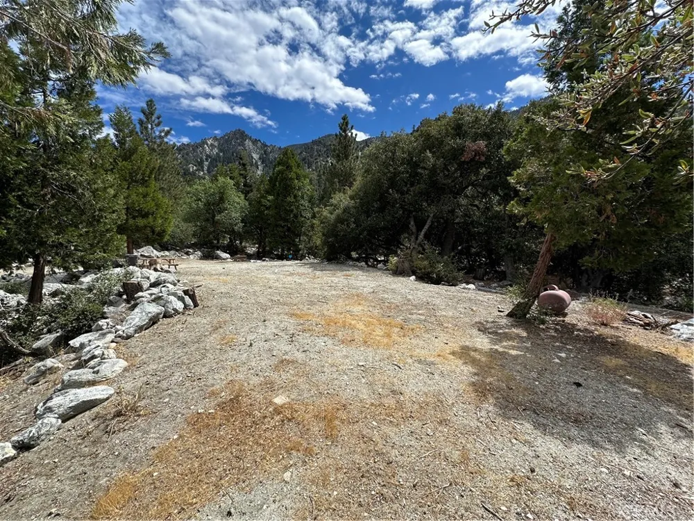 41385 Alder Drive Forest Falls, CA 92339