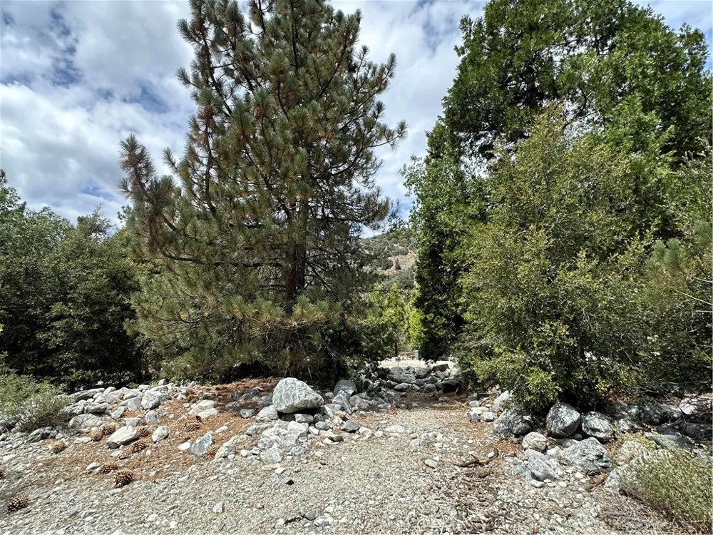 41385 Alder Drive Forest Falls, CA 92339