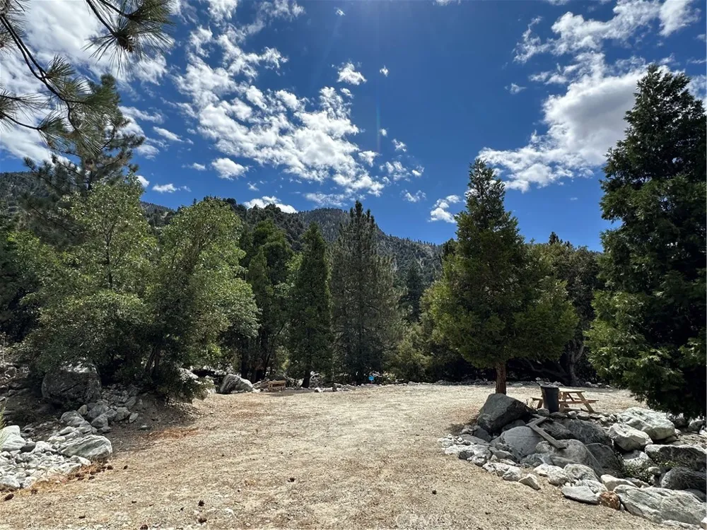 41385 Alder Drive Forest Falls, CA 92339