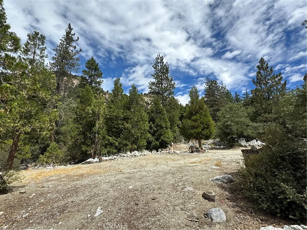 41385 Alder Drive Forest Falls, CA 92339