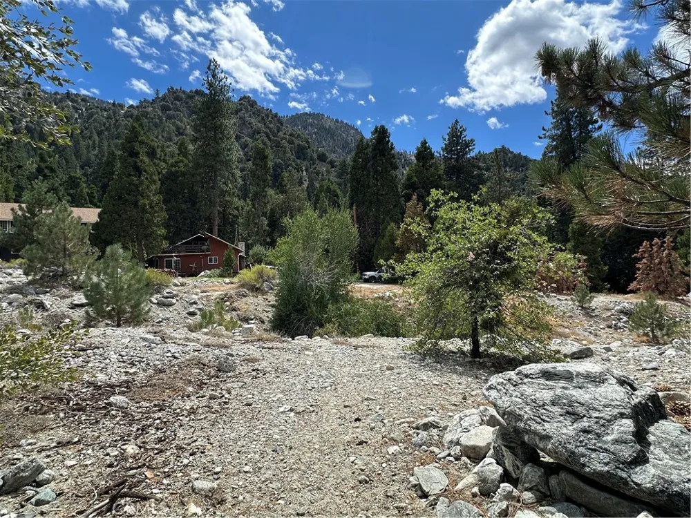41385 Alder Drive Forest Falls, CA 92339