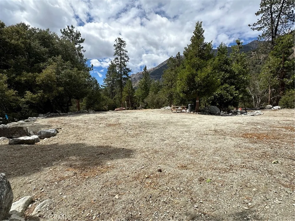 41385 Alder Drive Forest Falls, CA 92339