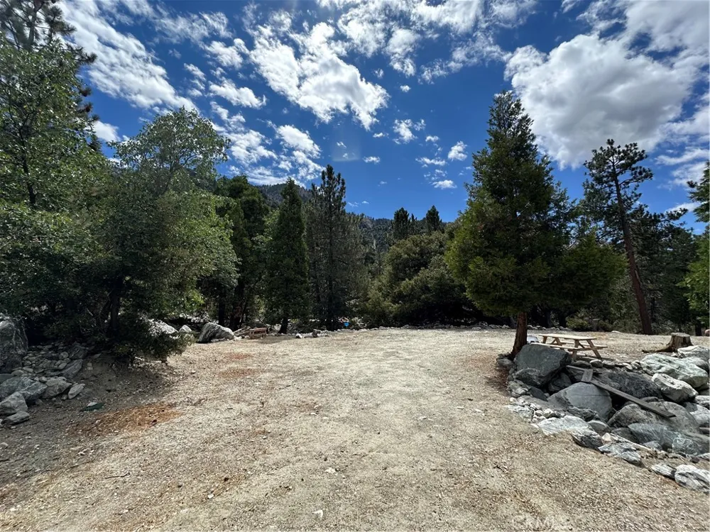 41385 Alder Drive Forest Falls, CA 92339