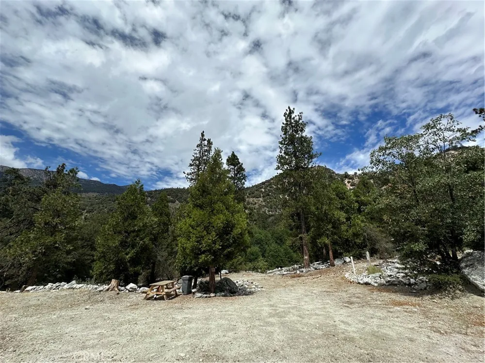 41385 Alder Drive Forest Falls, CA 92339