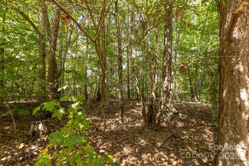 8068 Summit Ridge Drive Catawba, NC 28609