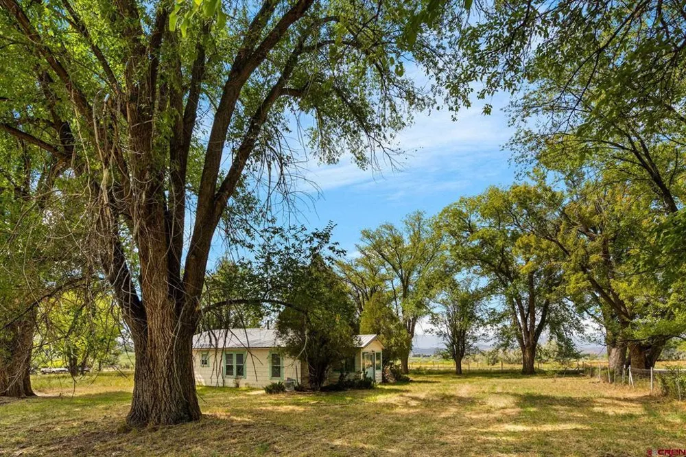 640 W 7th Avenue Nucla, CO 81424