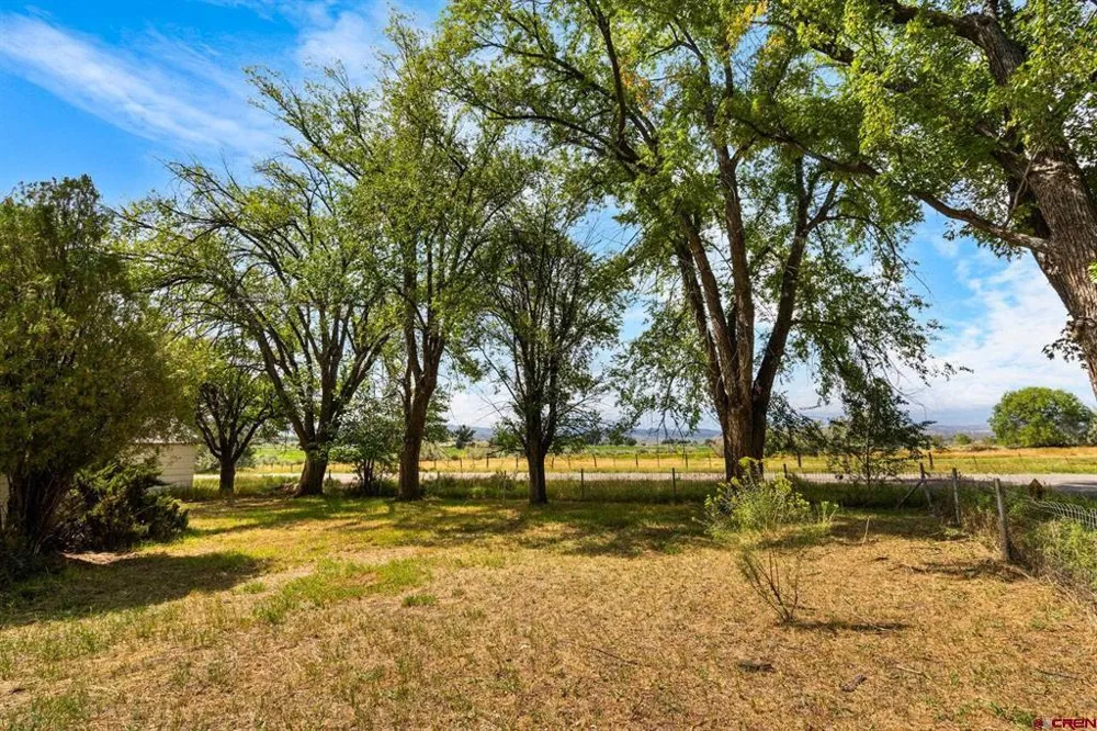 640 W 7th Avenue Nucla, CO 81424