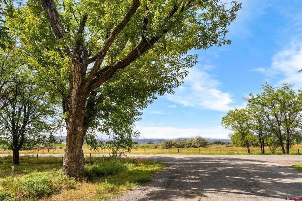 640 W 7th Avenue Nucla, CO 81424