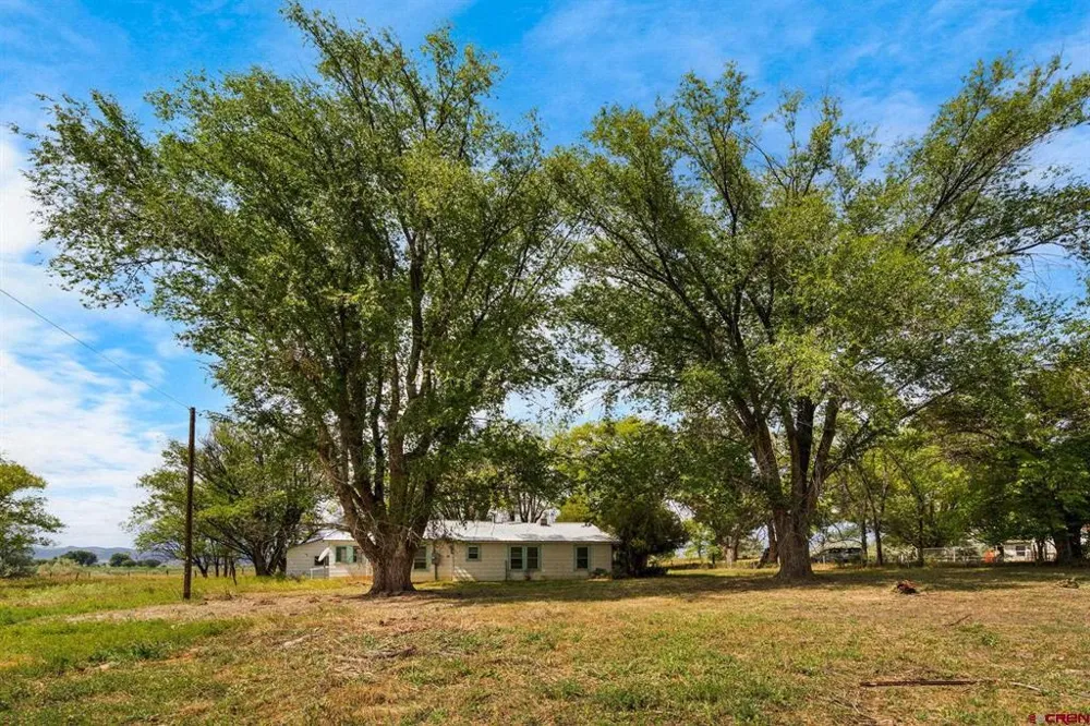 640 W 7th Avenue Nucla, CO 81424