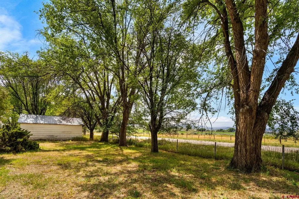 640 W 7th Avenue Nucla, CO 81424