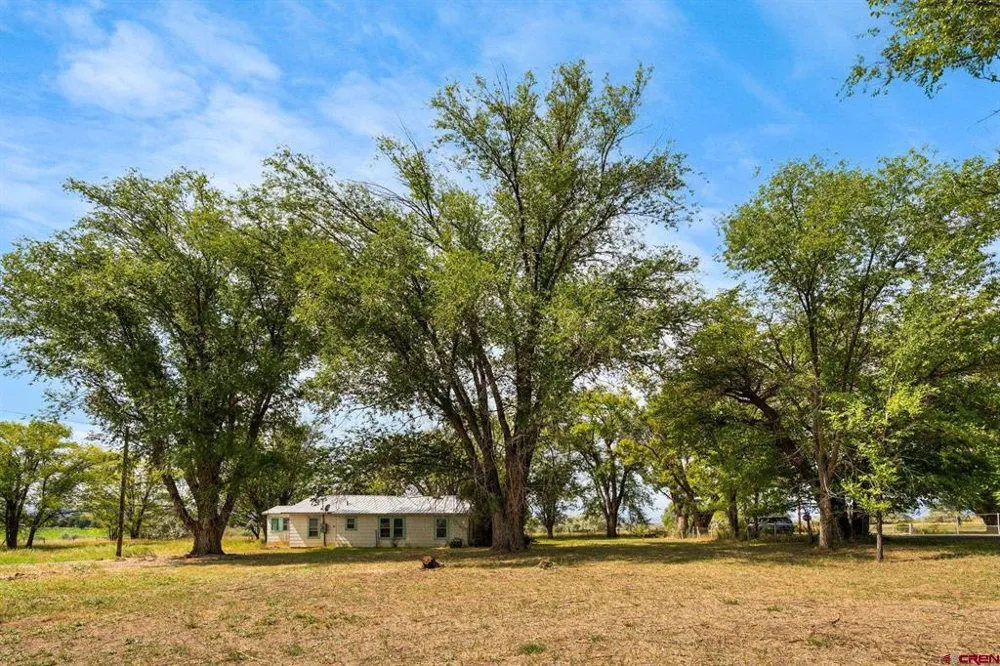 640 W 7th Avenue Nucla, CO 81424