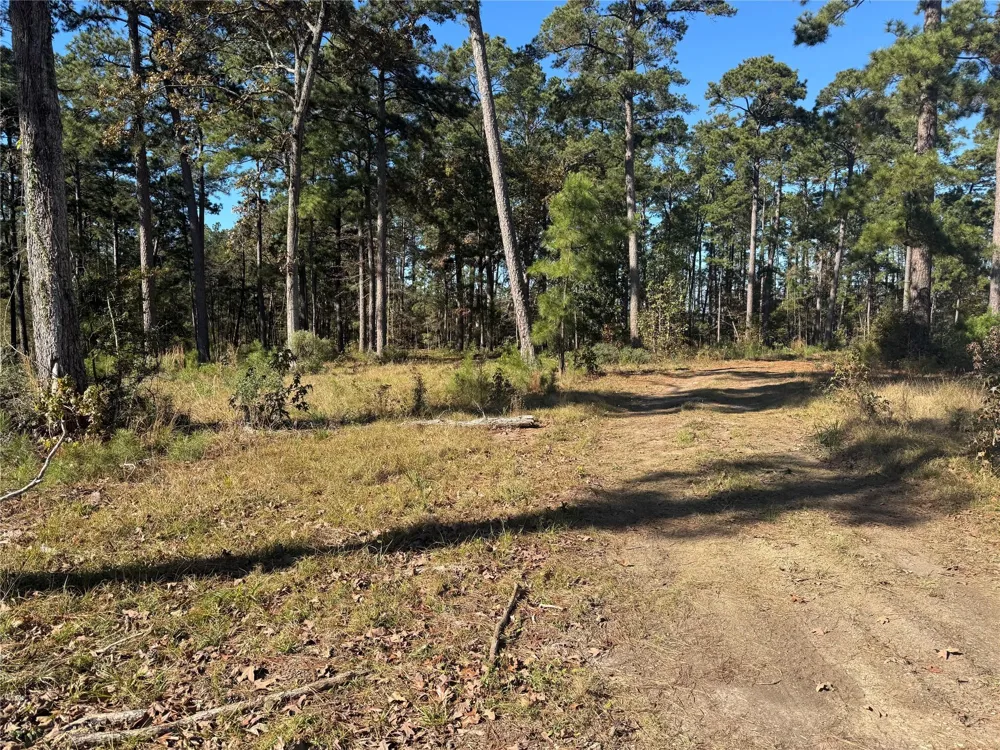 21 Private Rd 6028 Brookeland, TX 75931