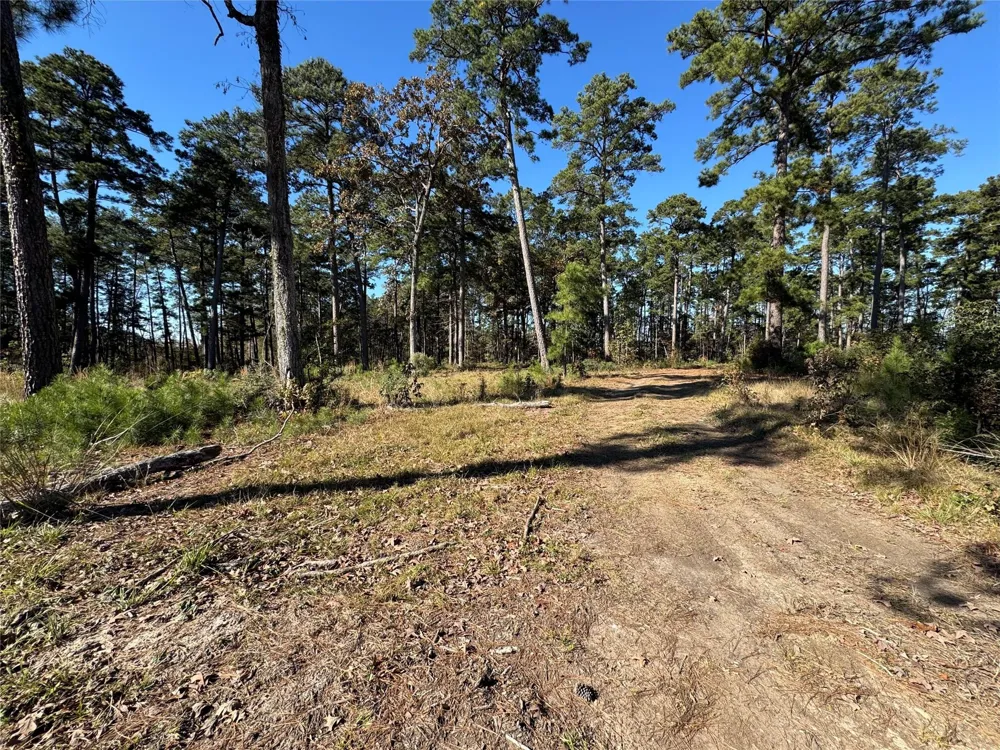 21 Private Rd 6028 Brookeland, TX 75931