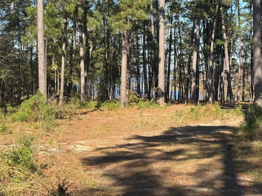 21 Private Rd 6028 Brookeland, TX 75931