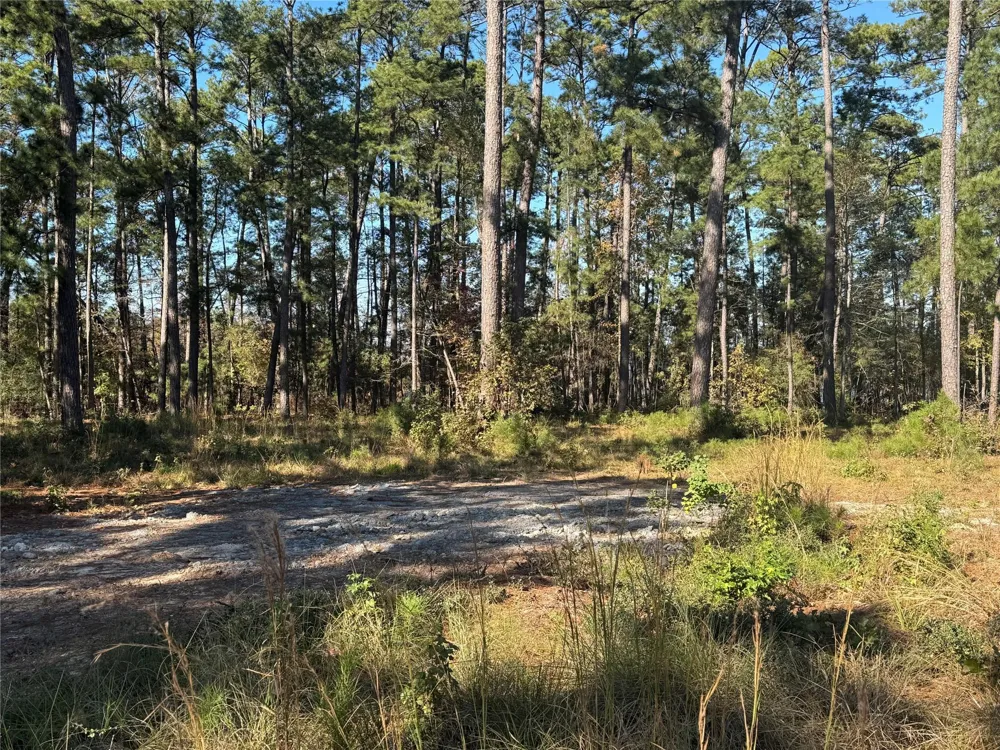 21 Private Rd 6028 Brookeland, TX 75931