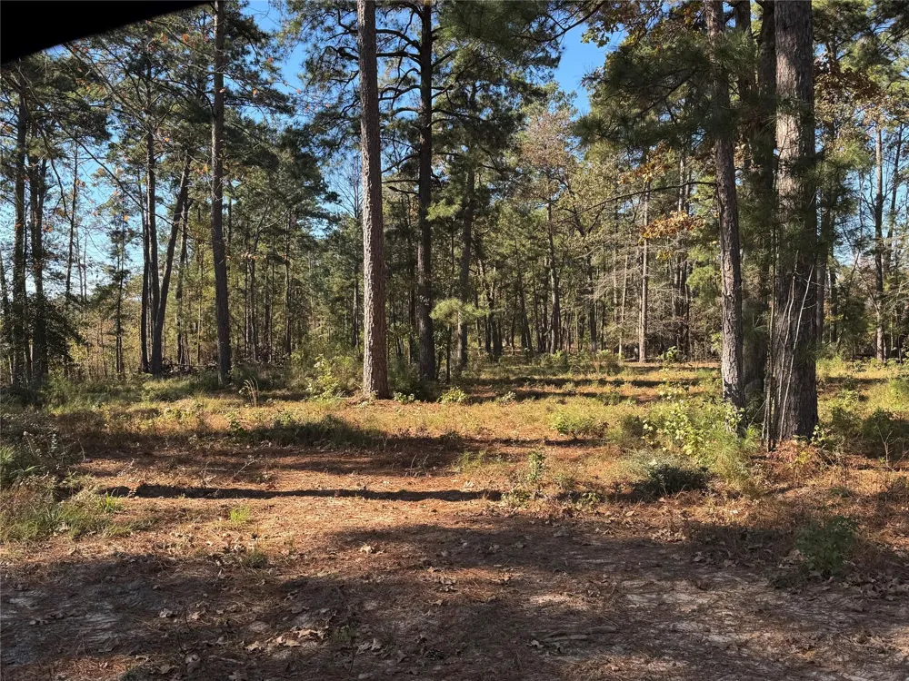 21 Private Rd 6028 Brookeland, TX 75931
