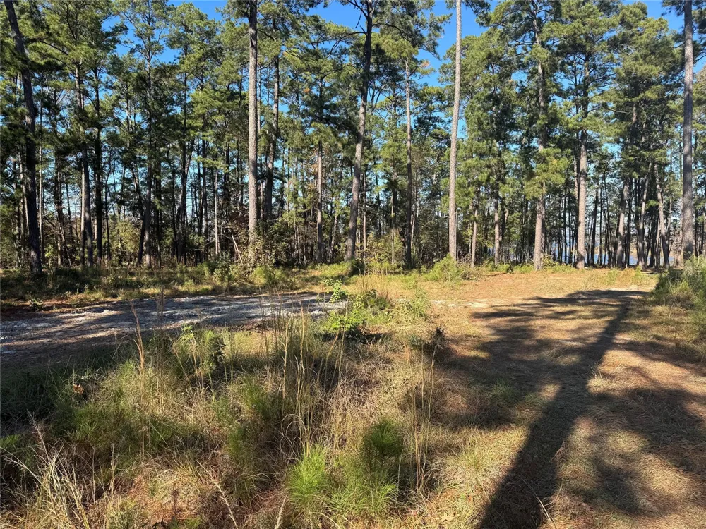 21 Private Rd 6028 Brookeland, TX 75931