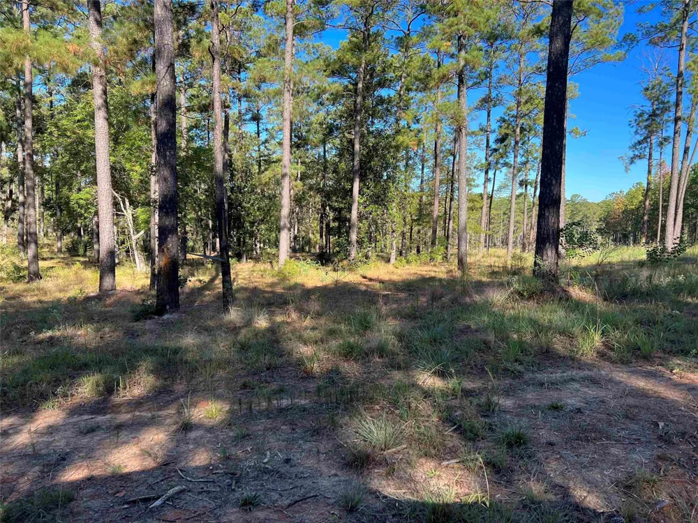 21 Private Rd 6028 Brookeland, TX 75931