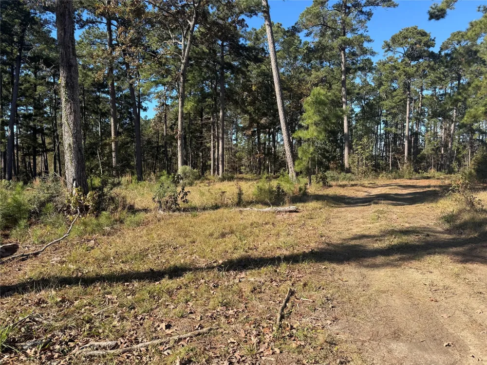 21 Private Rd 6028 Brookeland, TX 75931