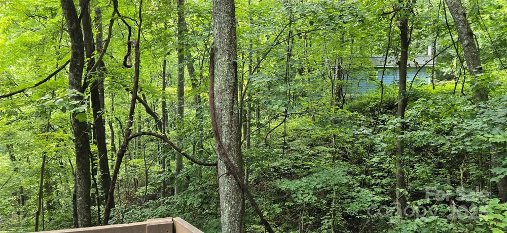 607 Rocky Top Trail Barnardsville, NC 28709