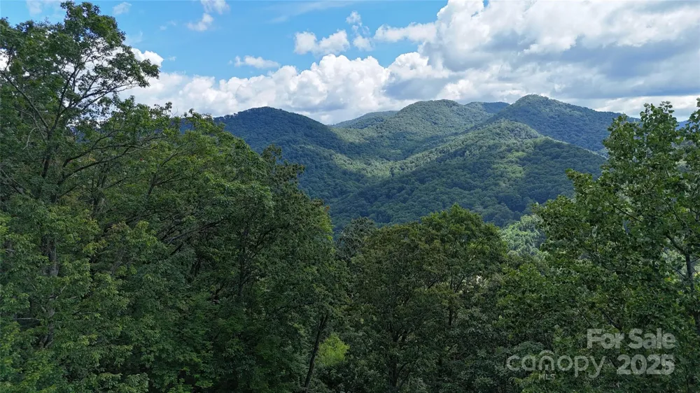 607 Rocky Top Trail Barnardsville, NC 28709