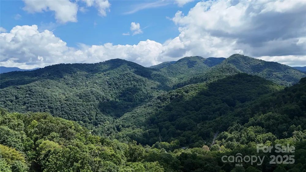 607 Rocky Top Trail Barnardsville, NC 28709